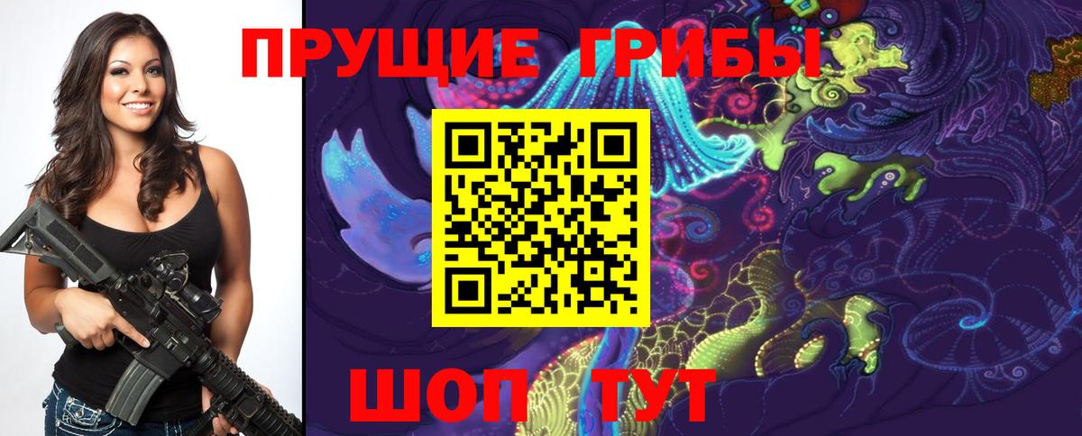 Галлюциногенные грибы Psilocybe Анапа
